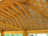 IMG 4688