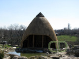 IMG 0918