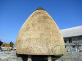 IMG 0924