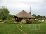 IMG 7471