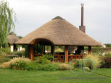 IMG 7474