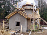 gont form 2