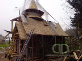 gont form 3