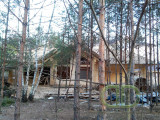 image 1394709625666 V