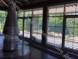 fachwerk tea cabin011